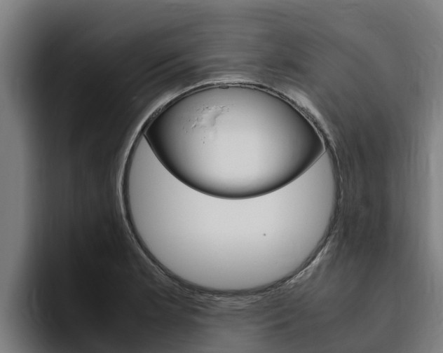 X0000094781181200711160844