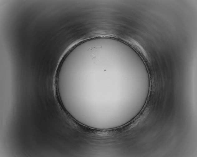 X0000094781182200711160844
