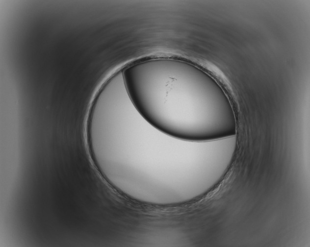 X0000094781183200711160844