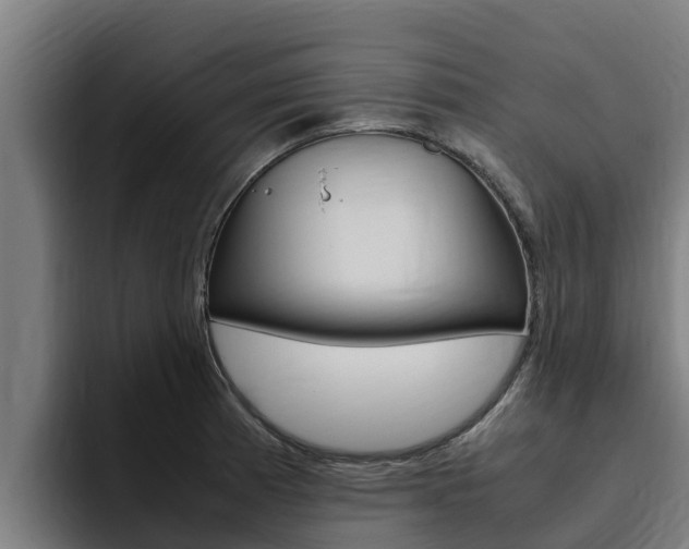 X0000094781185200711160844