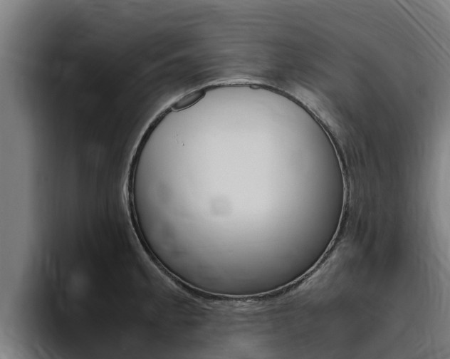 X0000094781189200711160844