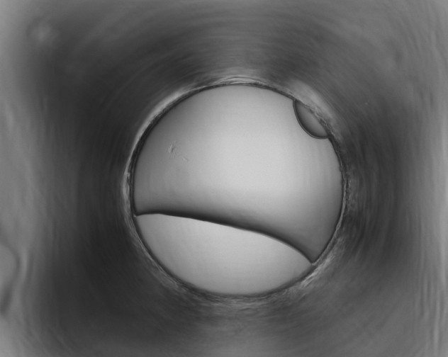 X0000094781190200711160844