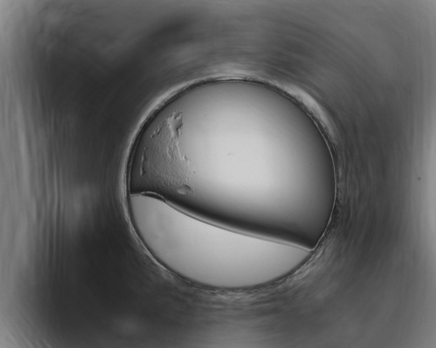 X0000094781191200711160844