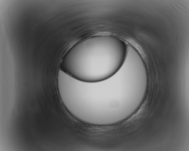 X0000094781193200711160844