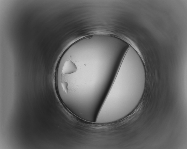 X0000094781195200711160844