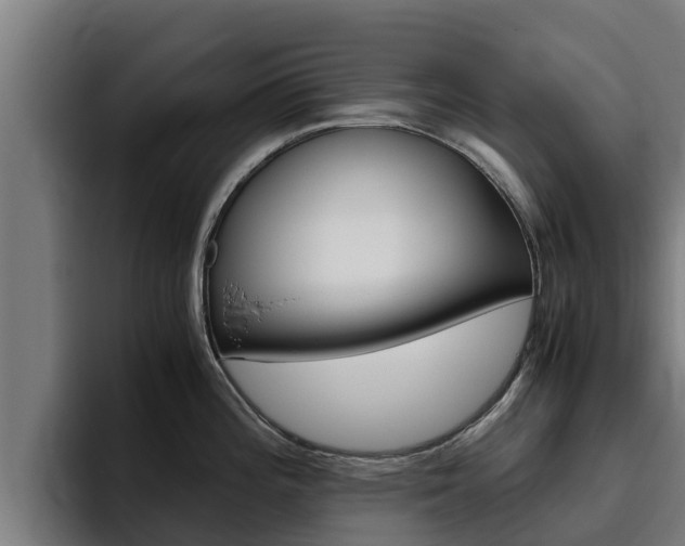 X0000094781196200711160844