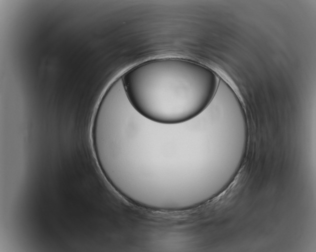 X0000094781197200711160844