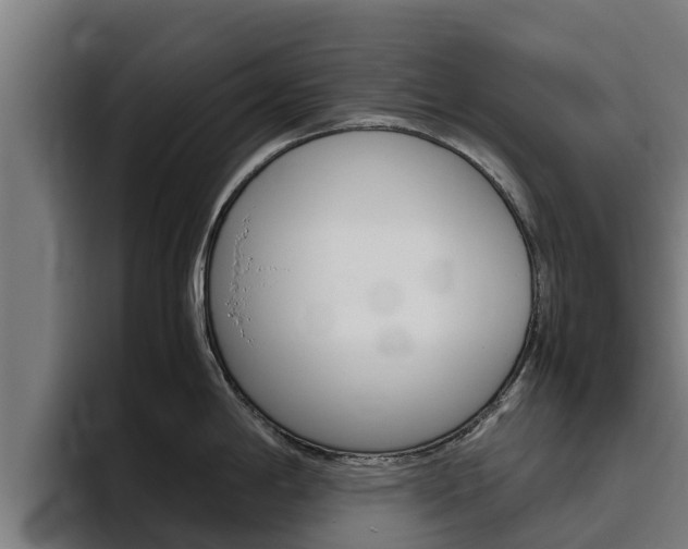 X0000094781198200711160844