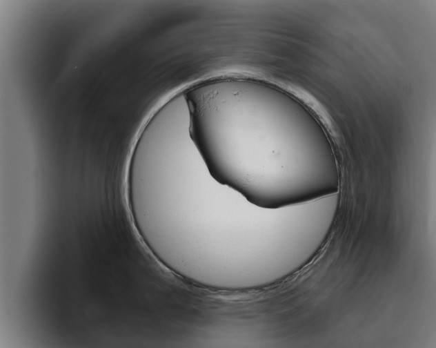 X0000094781199200711160844
