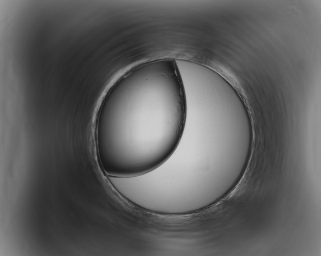 X0000094781200200711160844