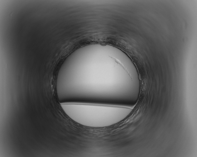 X0000094781202200711160843