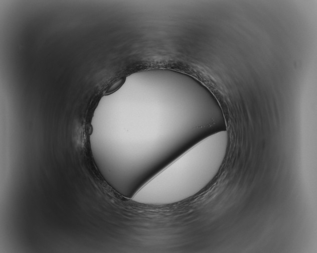 X0000094781204200711160843