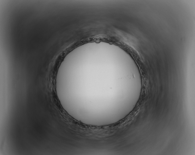 X0000094781207200711160843