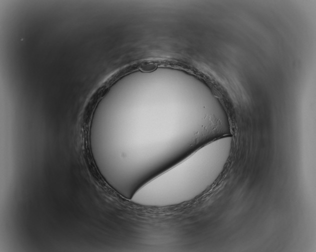 X0000094781208200711160843