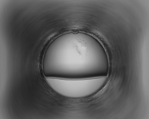 X0000094781210200711160843