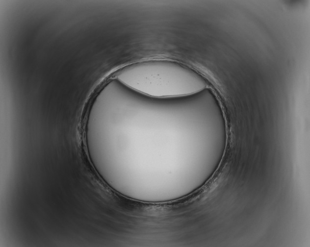 X0000094781212200711160843