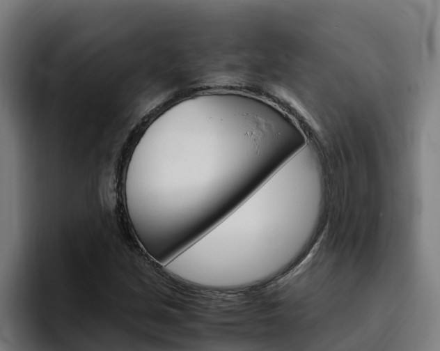 X0000094781213200711160843