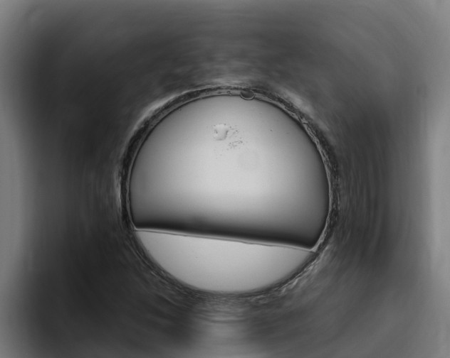X0000094781214200711160843