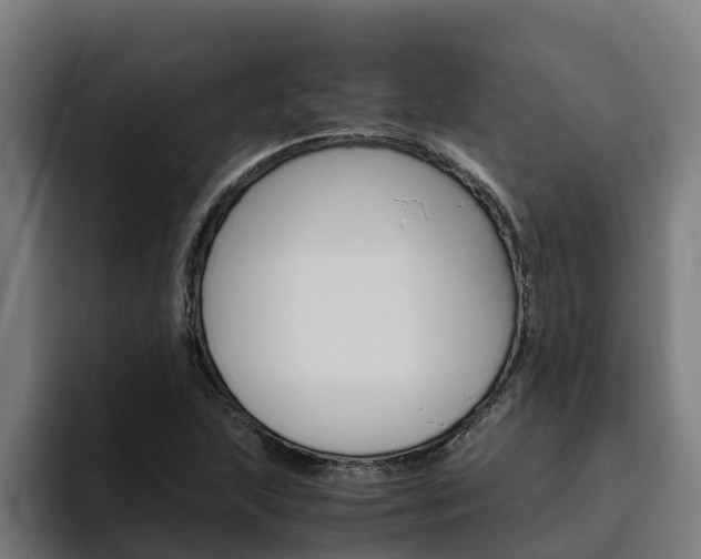 X0000094781215200711160843