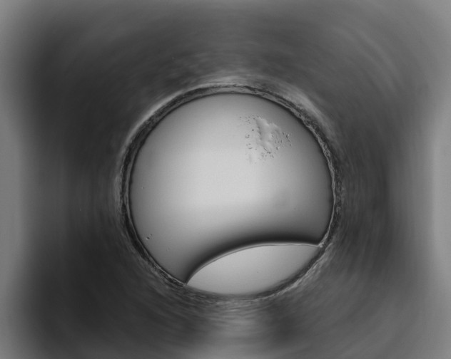 X0000094781216200711160843