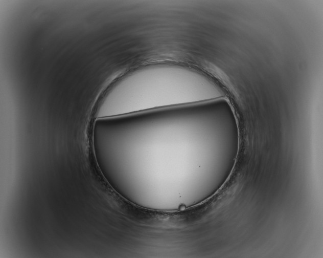 X0000094781218200711160843