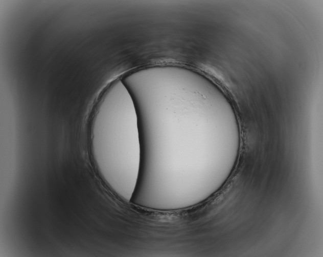 X0000094781219200711160843