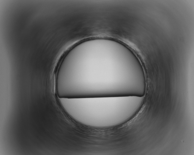X0000094781223200711160843