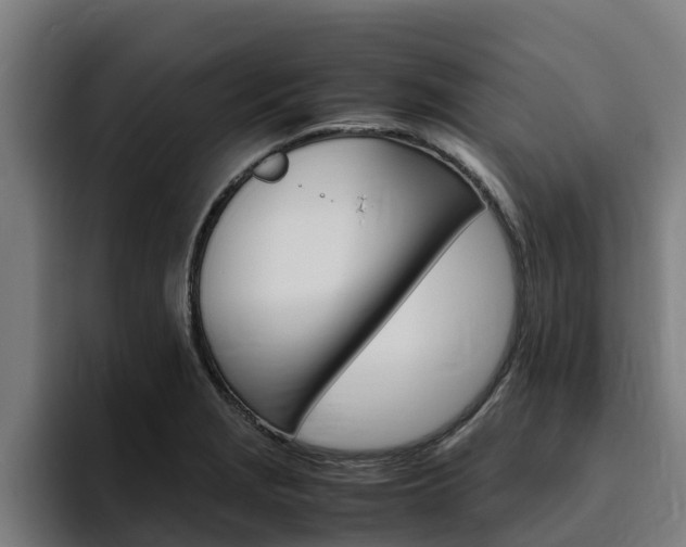 X0000094781229200711160844