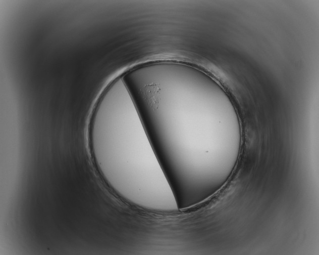 X0000094781230200711160844