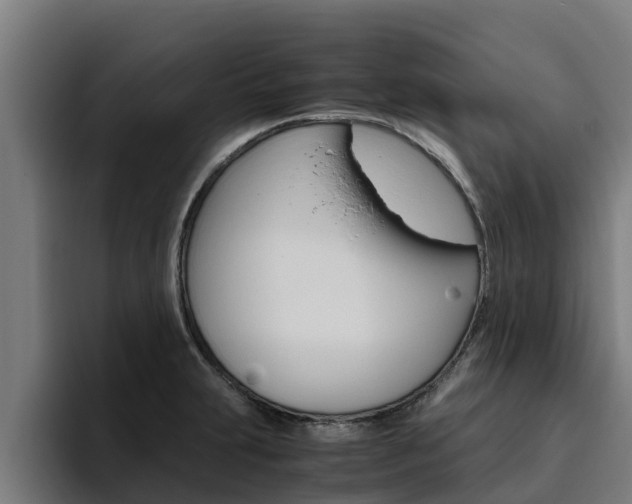 X0000094781231200711160844