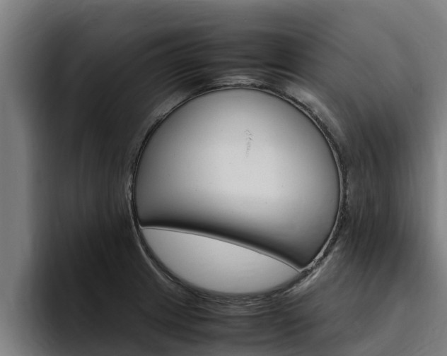 X0000094781233200711160844