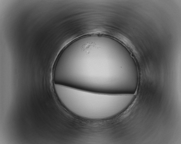 X0000094781234200711160844