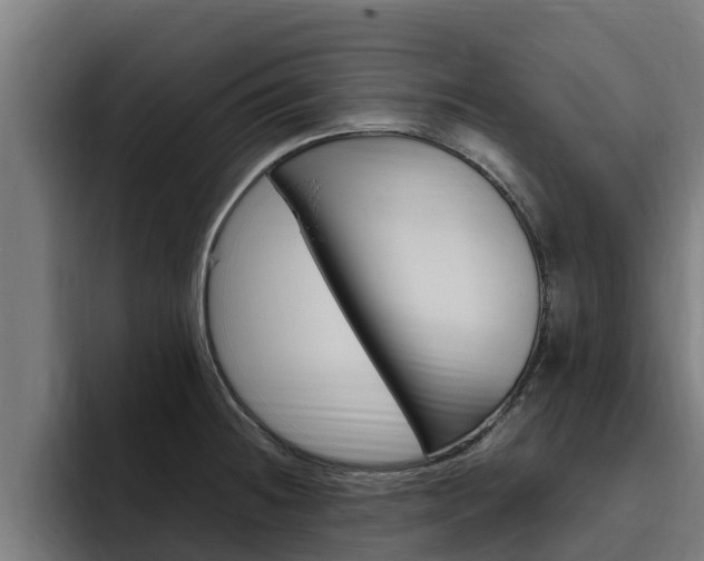 X0000094781236200711160844
