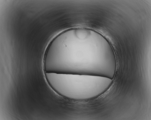 X0000094781239200711160844