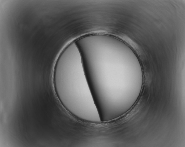 X0000094781240200711160844