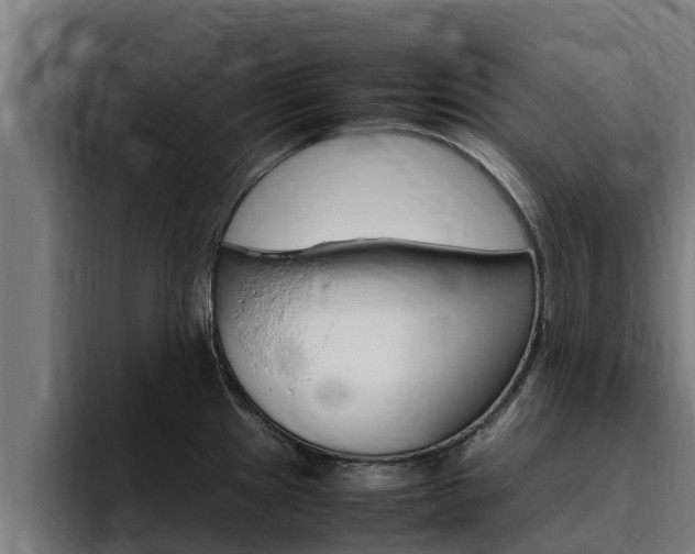 X0000094781241200711160844