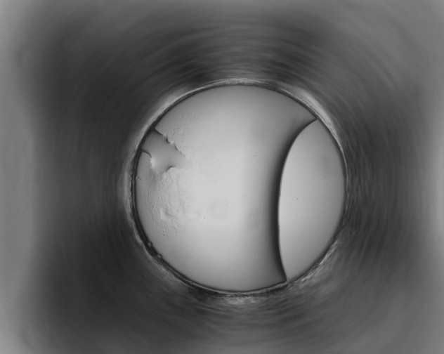 X0000094781243200711160844