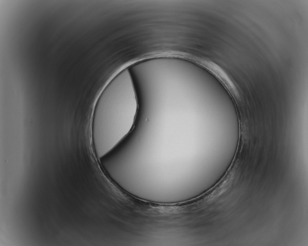 X0000094781244200711160844