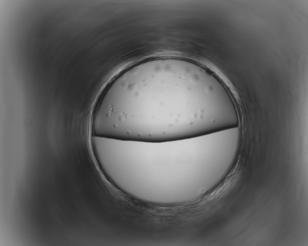 X0000094781245200711160844