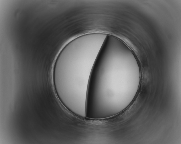 X0000094781246200711160844