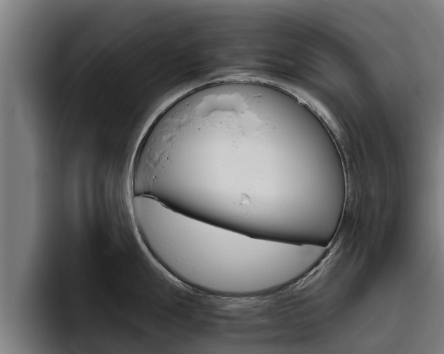 X0000094781247200711160844