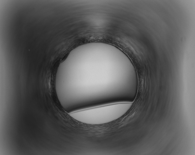 X0000094781250200711160843