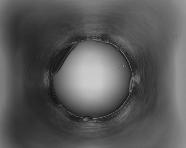 X0000094781252200711160843