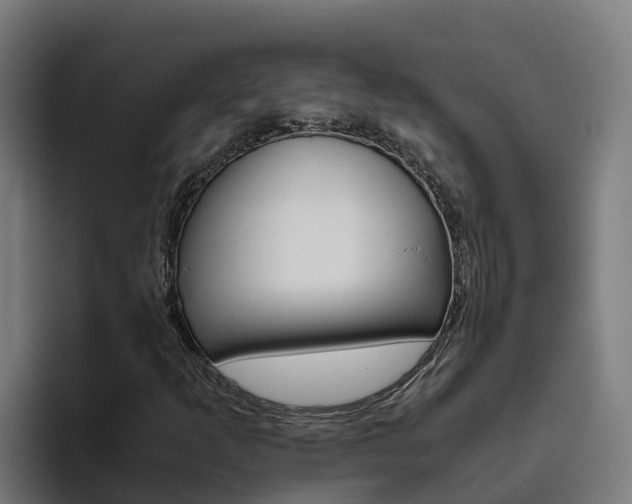 X0000094781253200711160843