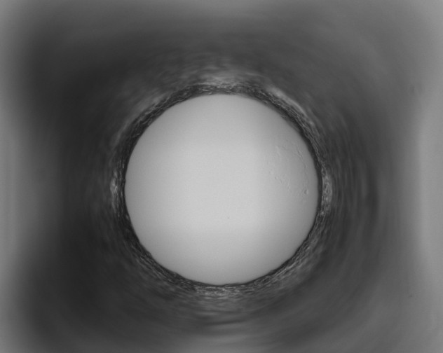 X0000094781254200711160843