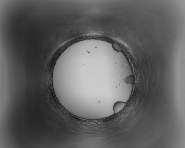 X0000094781255200711160843