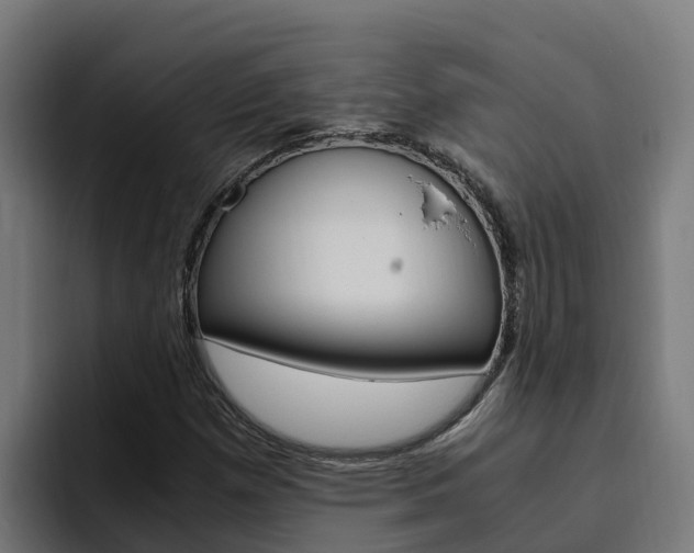 X0000094781257200711160843
