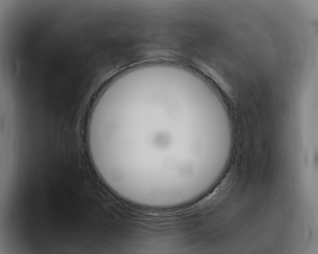 X0000094781261200711160843