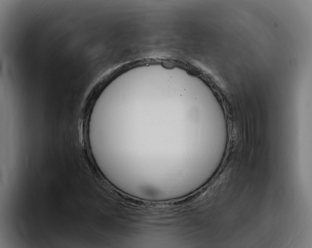 X0000094781262200711160843