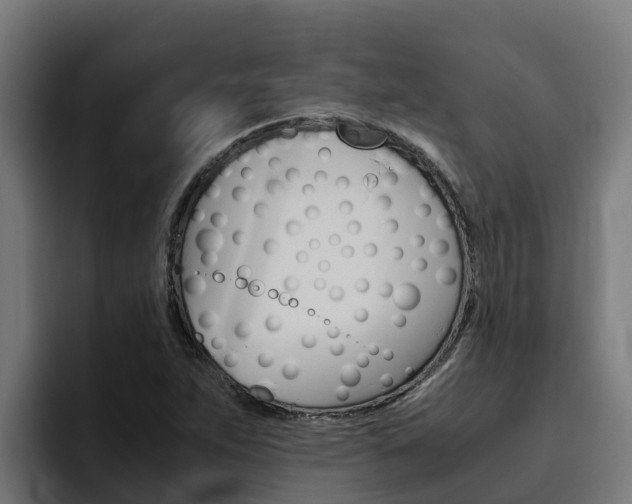 X0000094781263200711160843